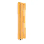 Cane_1600_390_RAL_1003